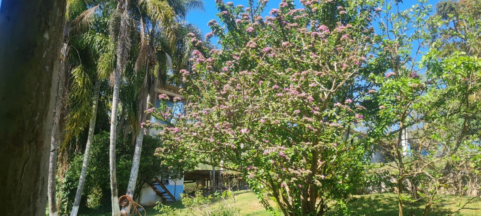 Sitio Ilha Da Madeira Villa São Roque Dış mekan fotoğraf